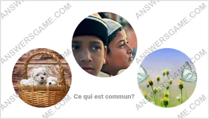 Réponse au jeu « Mot Imposteur » niveau 10 puzzle 9