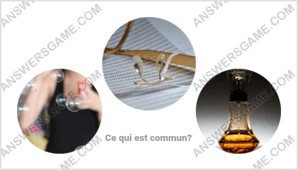 Réponse au jeu « Mot Imposteur » niveau 12 puzzle 13