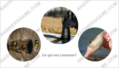 Réponse au jeu « Mot Imposteur » niveau 11 puzzle 10