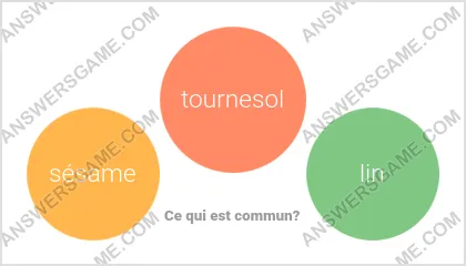 Réponse au jeu « Mot Imposteur » niveau 10 puzzle 16