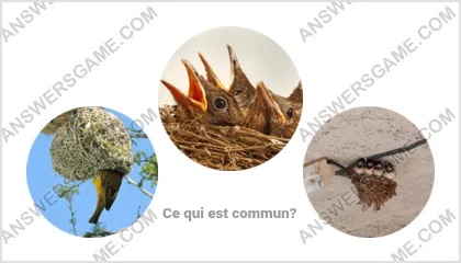 Réponse au jeu « Mot Imposteur » niveau 11 puzzle 11