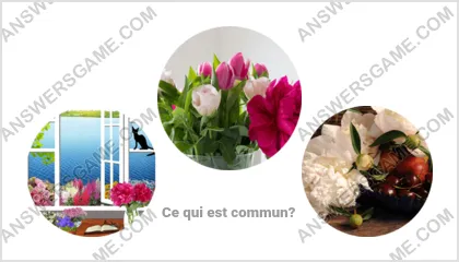 Réponse au jeu « Mot Imposteur » niveau 2 puzzle 11