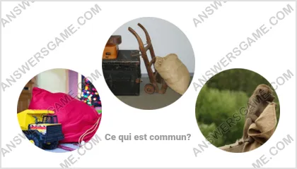 Réponse au jeu « Mot Imposteur » niveau 8 puzzle 7