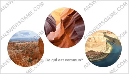 Réponse au jeu « Mot Imposteur » niveau 5 puzzle 6