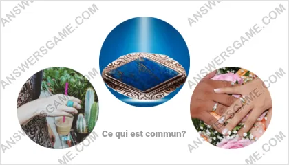 Réponse au jeu « Mot Imposteur » niveau 16 puzzle 13