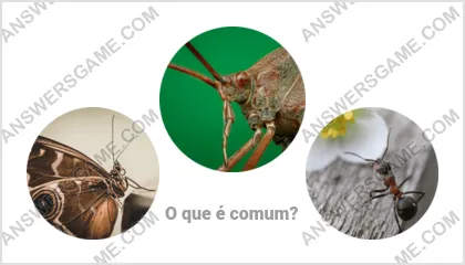 Respostas ao jogo Palavra Impostor Nível 5 Puzzle 1