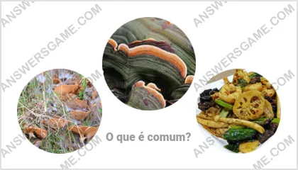 Respostas ao jogo Palavra Impostor Nível 2 Puzzle 18