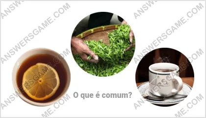 Respostas ao jogo Palavra Impostor Nível 3 Puzzle 17