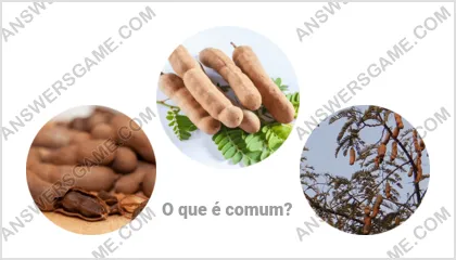 Respostas ao jogo Palavra Impostor Nível 14 Puzzle 17