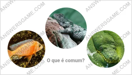 Respostas ao jogo Palavra Impostor Nível 7 Puzzle 14