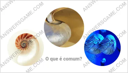 Respostas ao jogo Palavra Impostor Nível 3 Puzzle 19