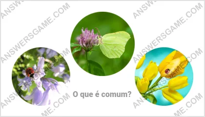 Respostas ao jogo Palavra Impostor Nível 19 Puzzle 3