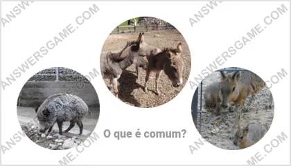 Respostas ao jogo Palavra Impostor Nível 12 Puzzle 18