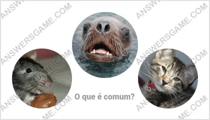 Respostas ao jogo Palavra Impostor Nível 17 Puzzle 19