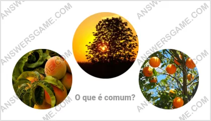 Respostas ao jogo Palavra Impostor Nível 1 Puzzle 15