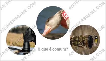 Respostas ao jogo Palavra Impostor Nível 11 Puzzle 10