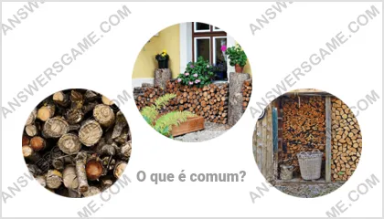 Respostas ao jogo Palavra Impostor Nível 6 Puzzle 2