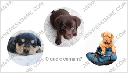 Respostas ao jogo Palavra Impostor Nível 10 Puzzle 11