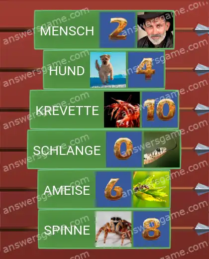 Lösungen für Word Logic Schloss 1 Wie viele Beine