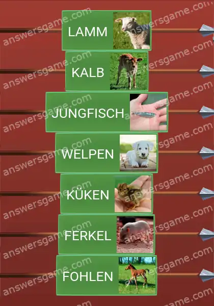 Lösungen für Word Logic Schloss 1 Nachwuchs