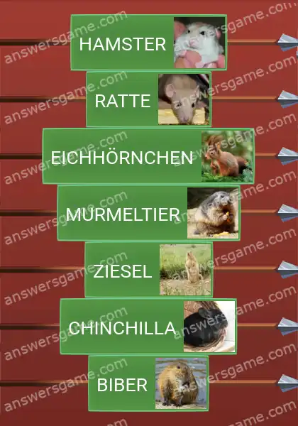 Lösungen für Word Logic Schloss 2 Mausfreundinnen