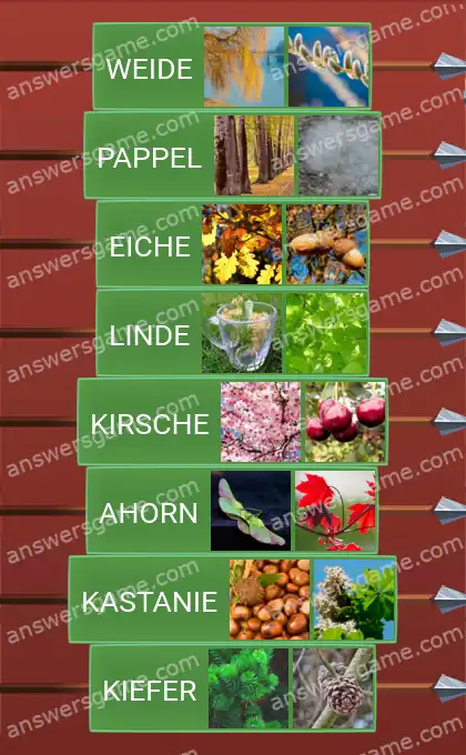 Lösungen für Word Logic Schloss 2 Botanik-Lektion