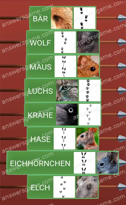 Lösungen für Word Logic Schloss 2 Tierspuren