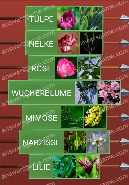Lösungen für Word Logic Schloss 3 Blumen