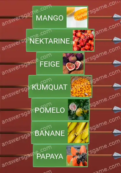 Lösungen für Word Logic Schloss 3 Etwas Exotisches