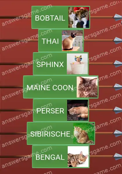 Lösungen für Word Logic Schloss 3 Flaumig oder haarlos