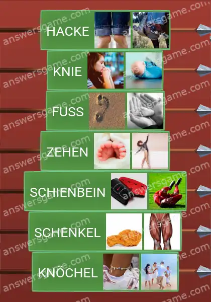 Lösungen für Word Logic Schloss 4 Beine