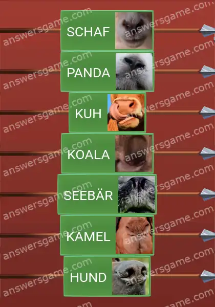 Lösungen für Word Logic Schloss 4 Wessen Nase ist das