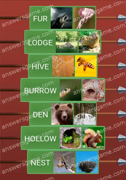 Answers to the game Word Logic Castle 1 The place where they live