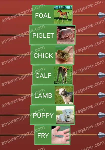 Answers to the game Word Logic Castle 1 Babies