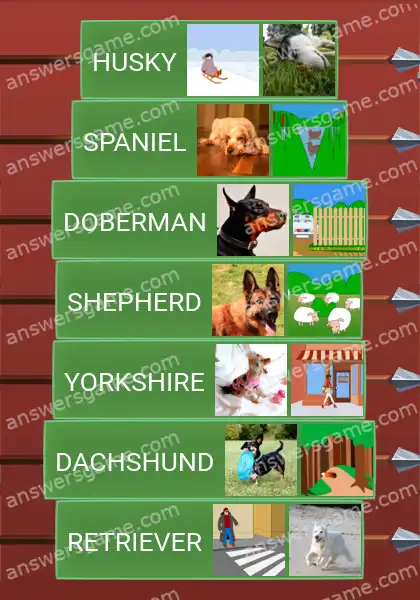 Answers to the game Word Logic Castle 1 Helpful doggos