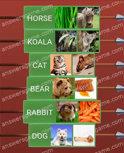 Answers to the game Word Logic Castle 1 Whose lunch is this