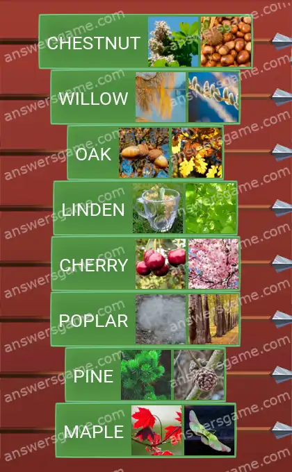 Answers to the game Word Logic Castle 2 Treeees