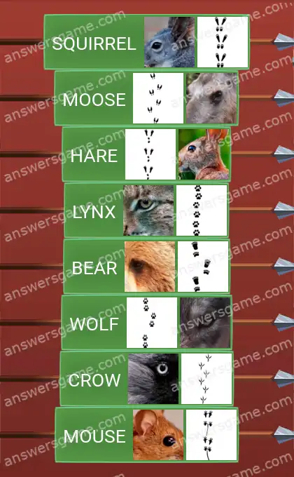 Answers to the game Word Logic Castle 2 Animal tracks