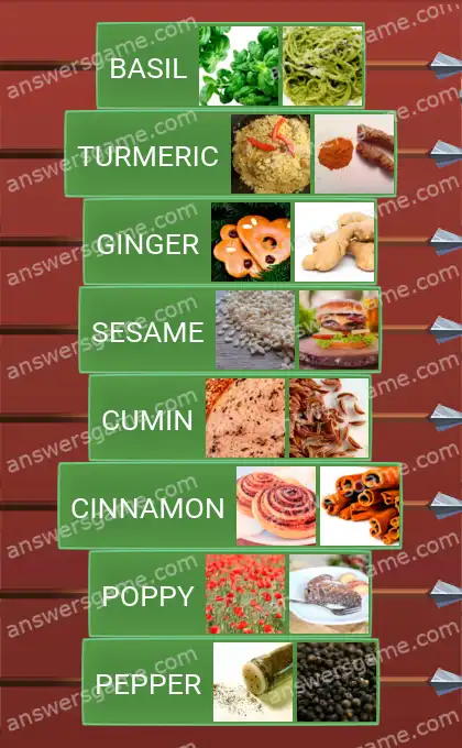 Answers to the game Word Logic Castle 2 Spicy