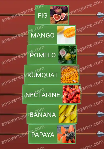 Answers to the game Word Logic Castle 3 Something exotic