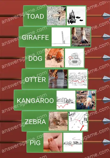 Answers to the game Word Logic Castle 3 Fun zoology