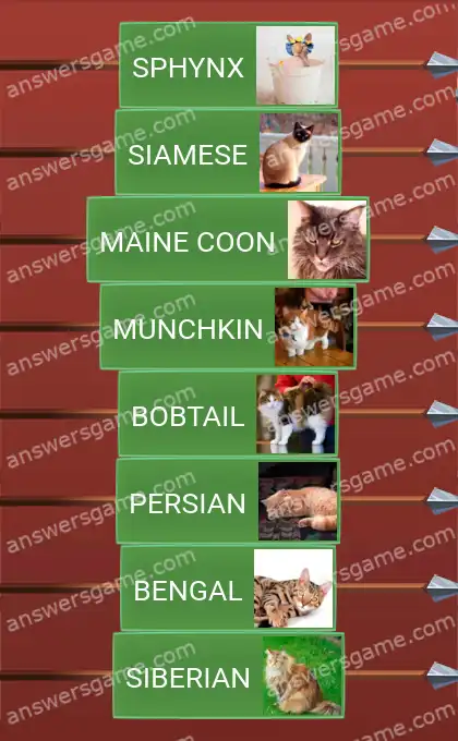 Answers to the game Word Logic Castle 3 Fluffy or hairless