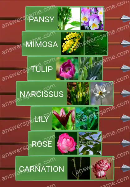 Answers to the game Word Logic Castle 3 Flowers