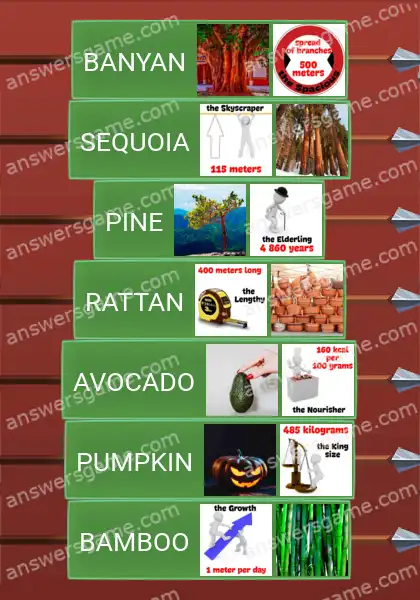 Answers to the game Word Logic Castle 3 The best of them all