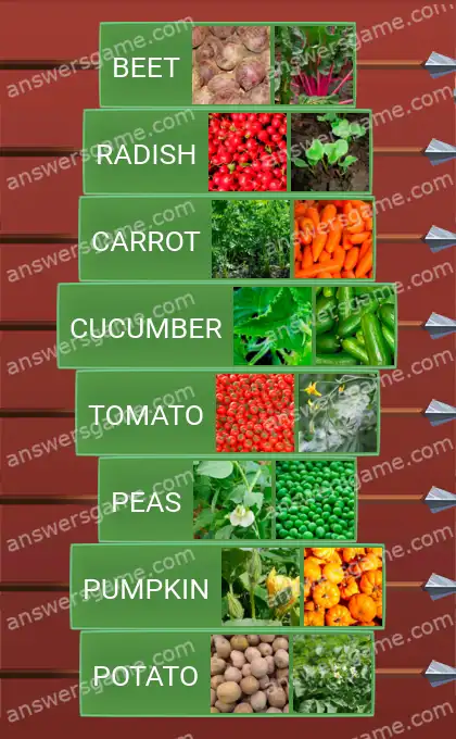 Answers to the game Word Logic Castle 3 Garden bed