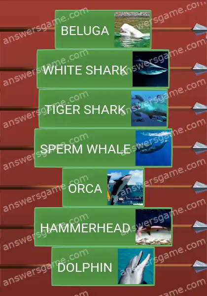 Answers to the game Word Logic Castle 4 Huge underwater