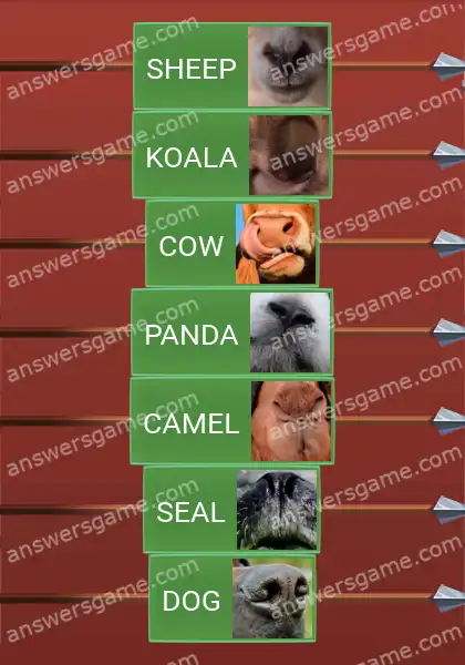 Answers to the game Word Logic Castle 4 Whose nose is this