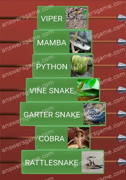 Answers to the game Word Logic Castle 4 Snakes