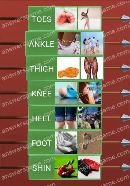 Answers to the game Word Logic Castle 4 Legs