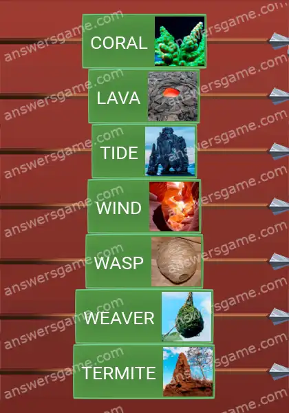 Answers to the game Word Logic Castle 5 Nature the architect